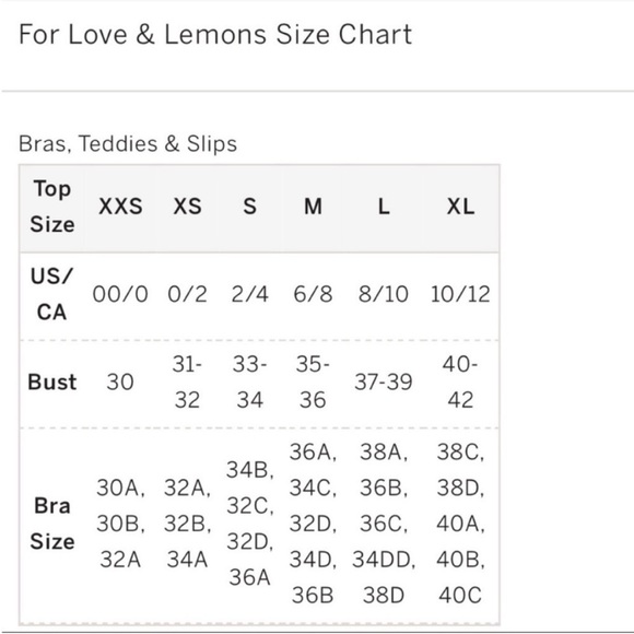 NWT 2 Pc For Love & Lemons 3D Daisy Bustier W/ Garters & Panty Set Sz 36C/L - Picture 14 of 16